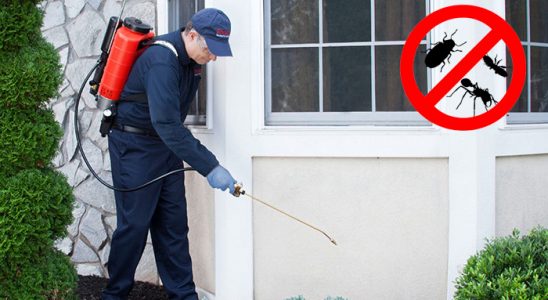 Denizli Akrep İlaçlama böcek ilaçlama ve haşere kontrolü — ilaclama-tr.com